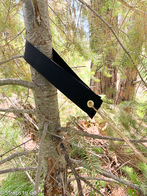 Tree strap with jute tie